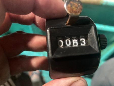 南伊勢のイカメタル