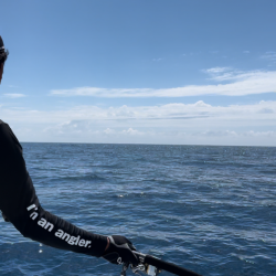 キハダキャスティングリベンジ