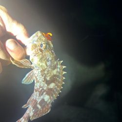 ライトロックゲーム