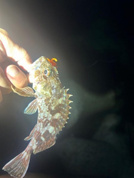 ライトロックゲーム