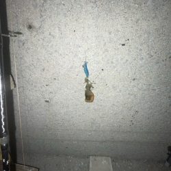 まだ早いですね〜‼️