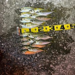 爆風シャロー攻略