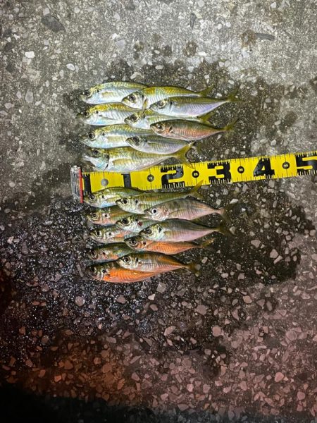 爆風シャロー攻略