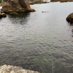 ちょこっとエギング