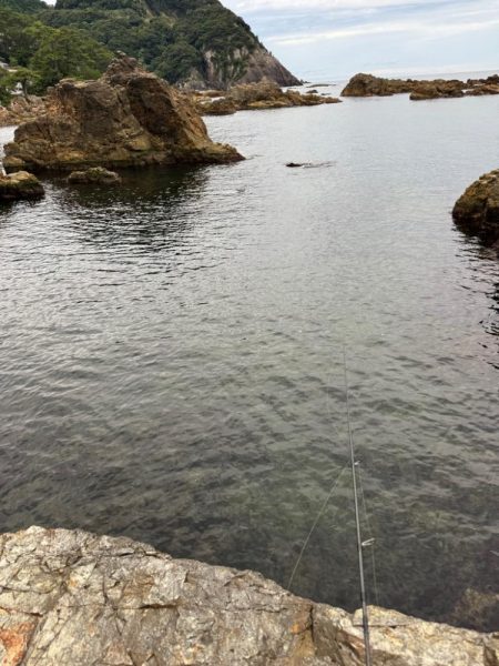 ちょこっとエギング