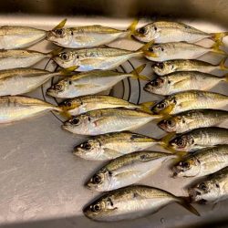 フロートアジング