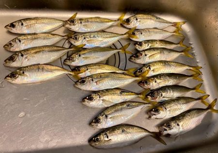 フロートアジング