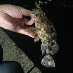 巨大湖の主。双魚竜