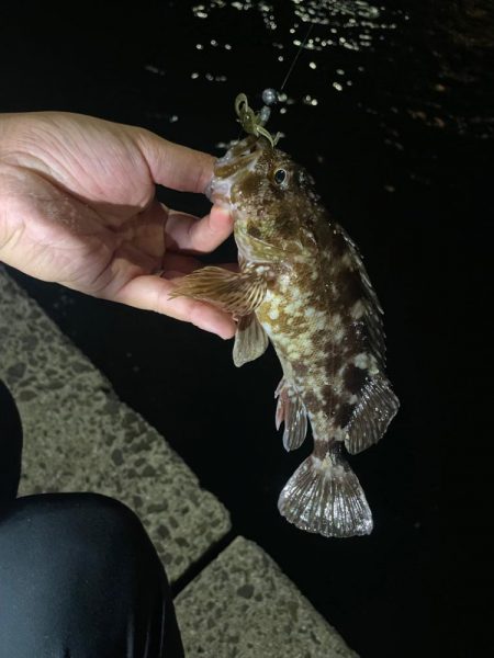 巨大湖の主。双魚竜