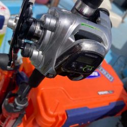 洲本沖のタチウオ