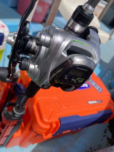 洲本沖のタチウオ