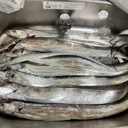 タチウオテンヤ