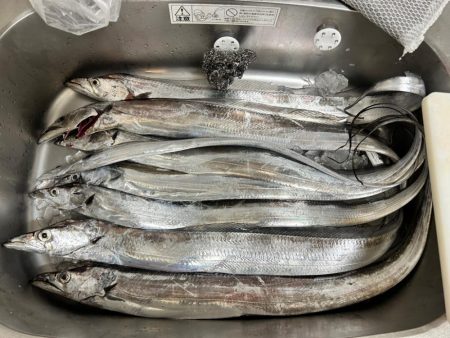 タチウオテンヤ