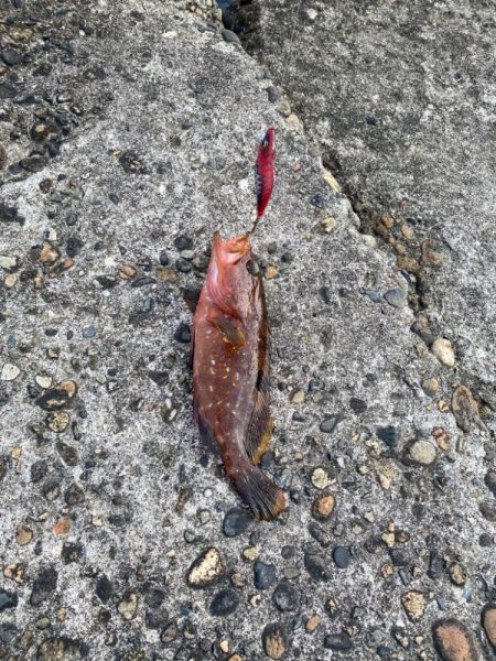 ホームのアオリ調査