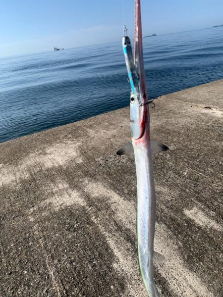 今日は渋めチヌトップ