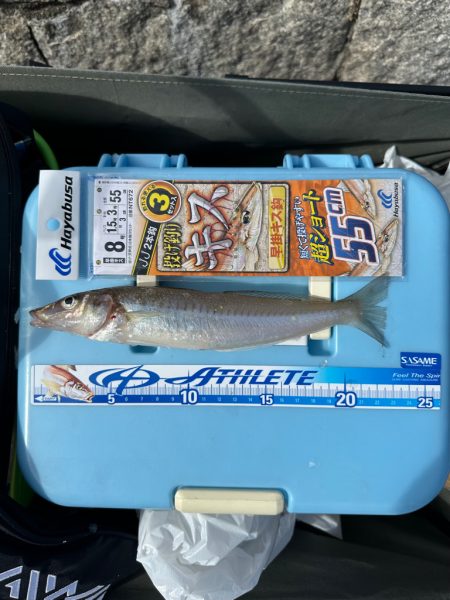 ちょい投げキス釣り