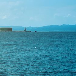 ローデッド大活躍