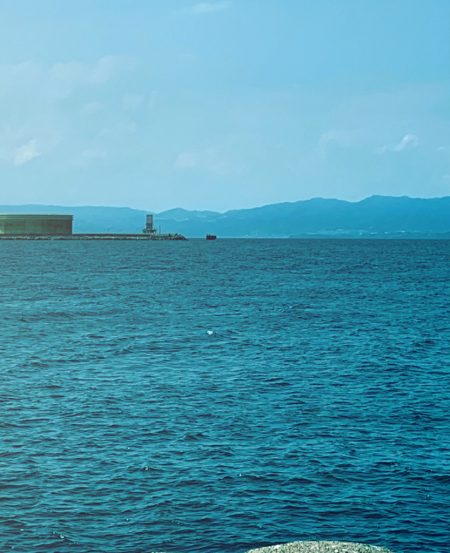 ローデッド大活躍