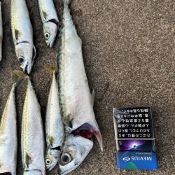 やっぱり釣り大好き！