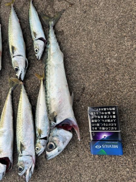 やっぱり釣り大好き！