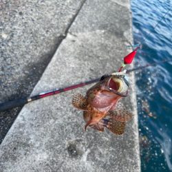 南紀ぶっ込み釣り