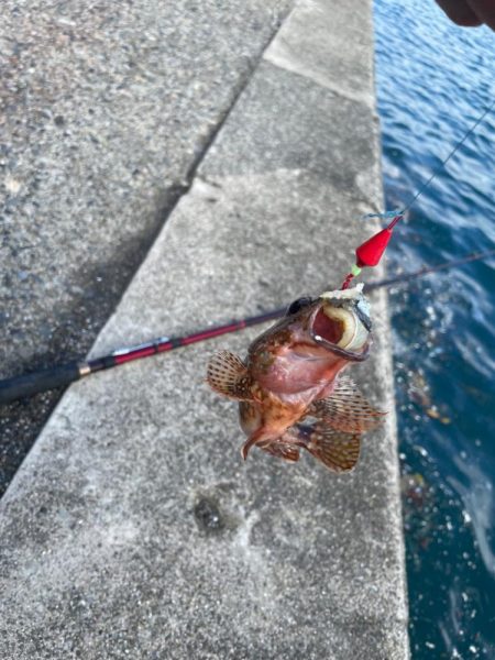 南紀ぶっ込み釣り