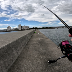 サビキとナス型オモリのみでサビキ釣り