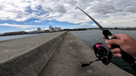 サビキとナス型オモリのみでサビキ釣り