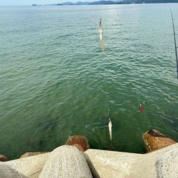 アタリは少ないけど釣れたらデカいのが多い！