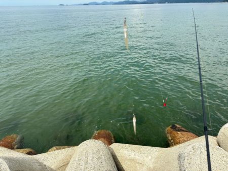 アタリは少ないけど釣れたらデカいのが多い！