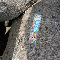 高砂港、弾丸キス釣行その2