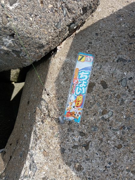 高砂港、弾丸キス釣行その2