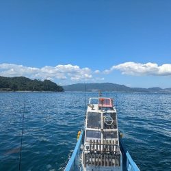 暑い夏の友が島廻り