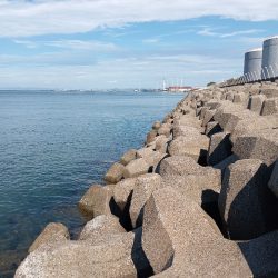 今日も高砂港へ