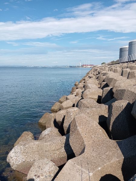 今日も高砂港へ