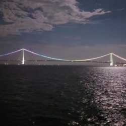 最初から切り身で…