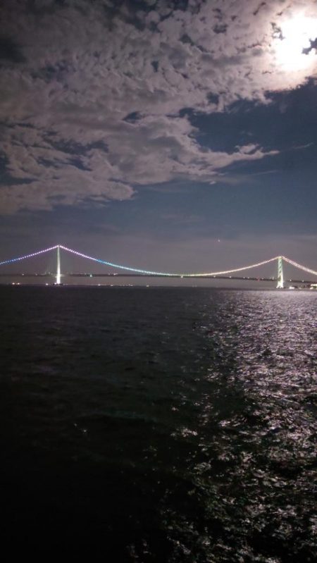 最初から切り身で…