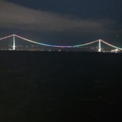 改造タコエギで