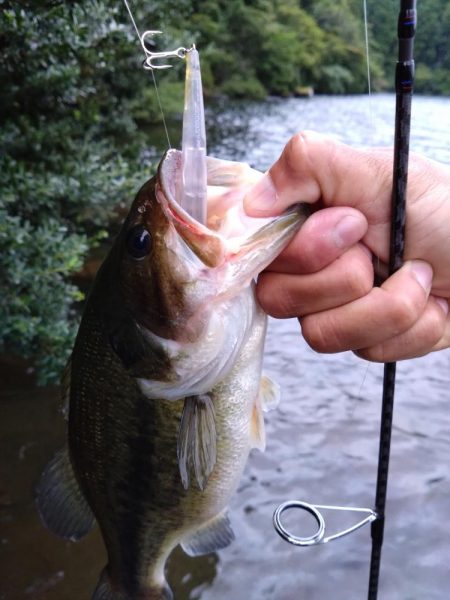 放流バスに遊んでもらいました