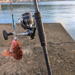 陸っぱり釣行記