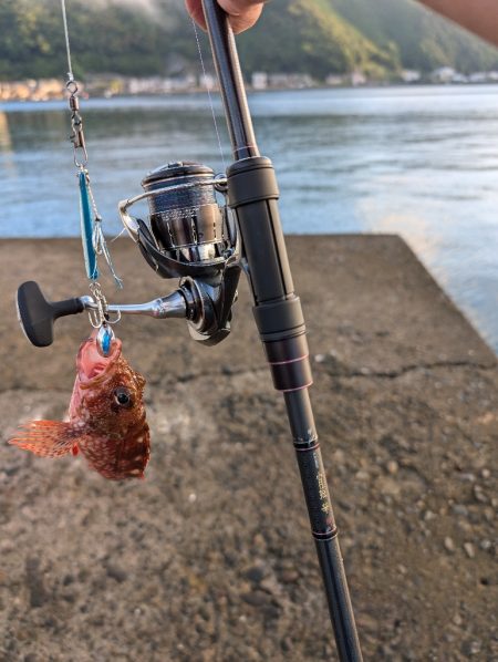 陸っぱり釣行記