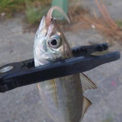 そんな甘くはないよね！