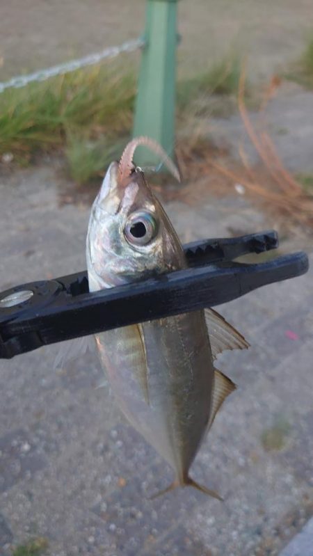 そんな甘くはないよね！