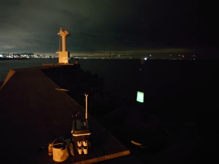 お盆明けタチウオ調査🎣