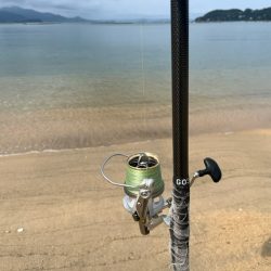 夏休みのキス釣り報告です