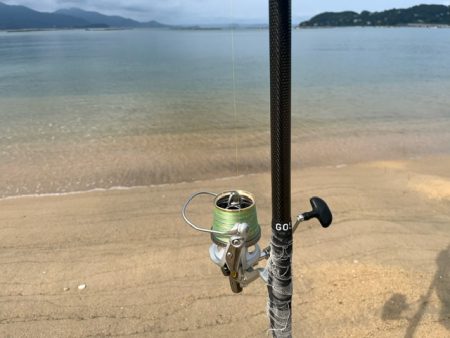 夏休みのキス釣り報告です