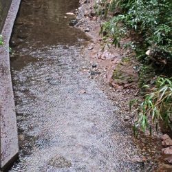 短時間チャビング