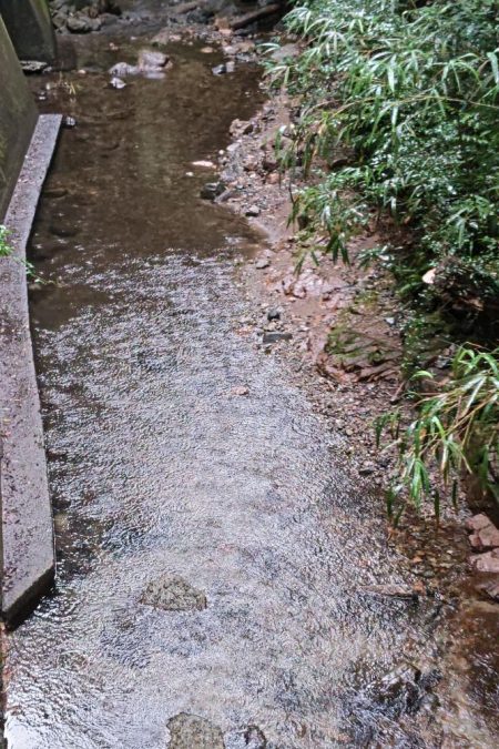 短時間チャビング