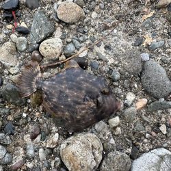 友達と釣りに🎣