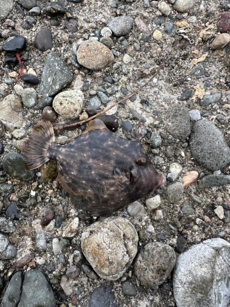 友達と釣りに🎣